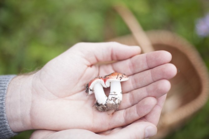 Engagement Photos